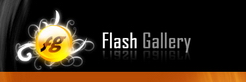 Flash Gallery